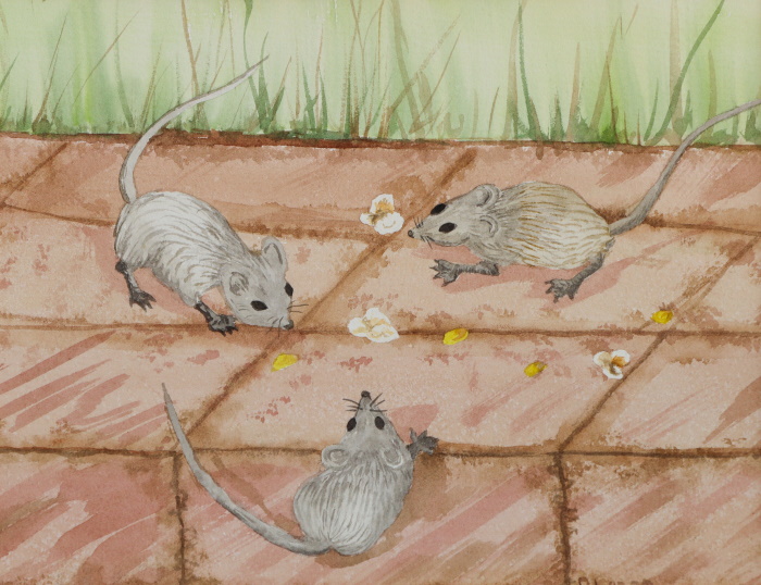 Watercolor painting of three mice eating popcorn on a brick path
