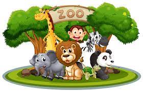 Zoo animals graphic