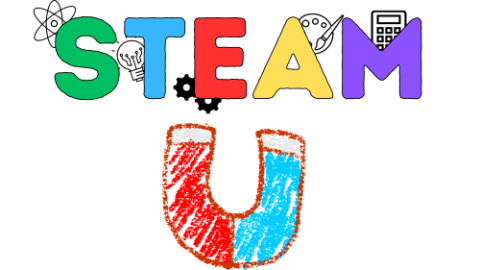 STEAM Magnetic Art