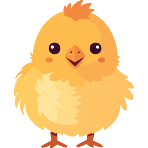 fluffy chick