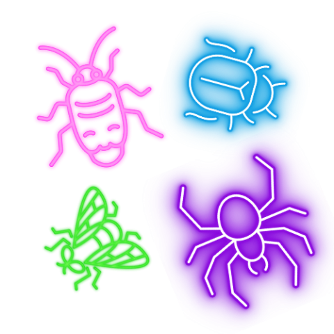 4 glowing neon insects