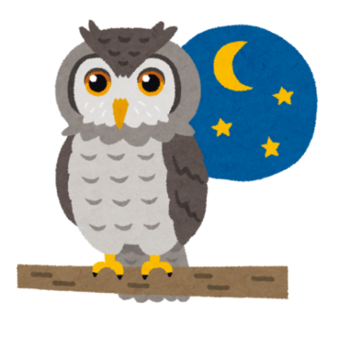 owl on branch in front of night sky