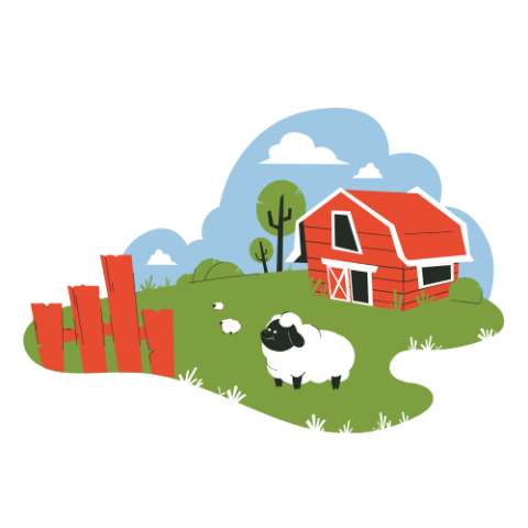 barn with blue skies and a pasture with sheep