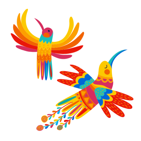 colorful tropical birds soaring in the air