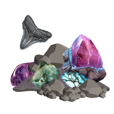 Crystals, gems and shark tooth embedded in rock