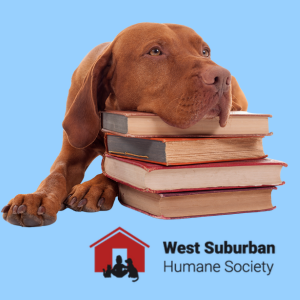brown dog calmly lying on book pile, with West Suburban Humane Society logo