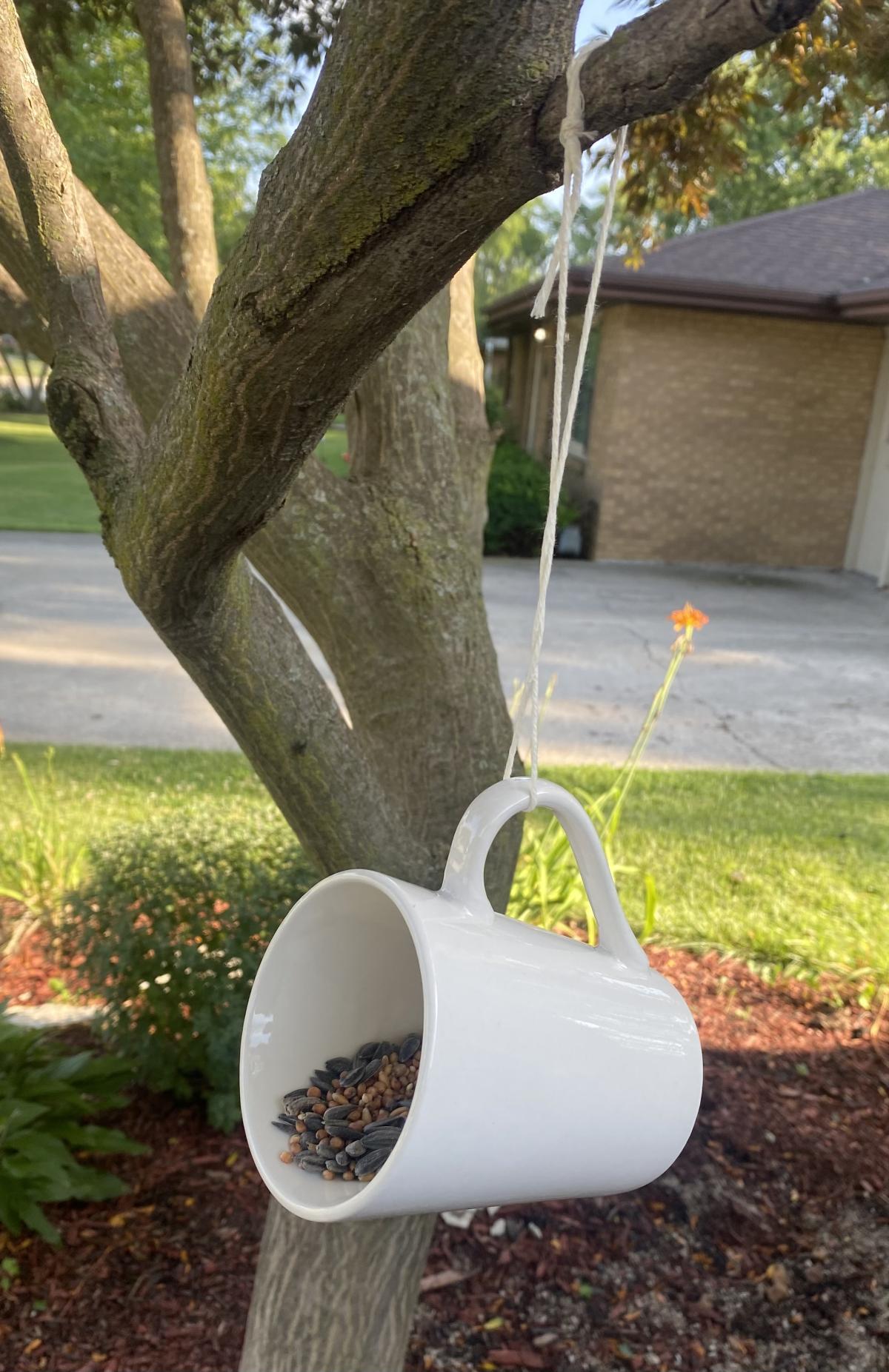 Mug Bird Feeder