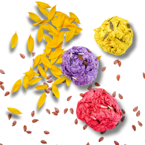 colorful seed bombs with petals and seeds 