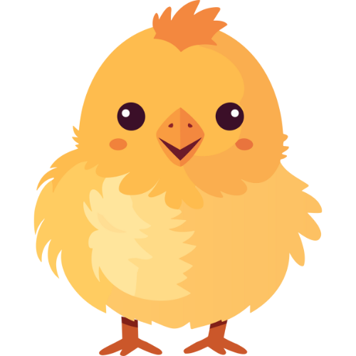 fluffy chick