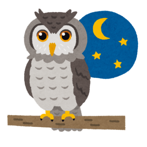 owl on branch in front of night sky