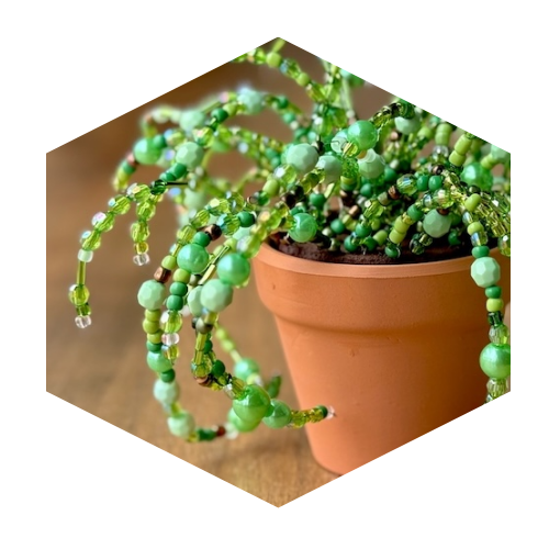 Beaded plant in terracotta pot