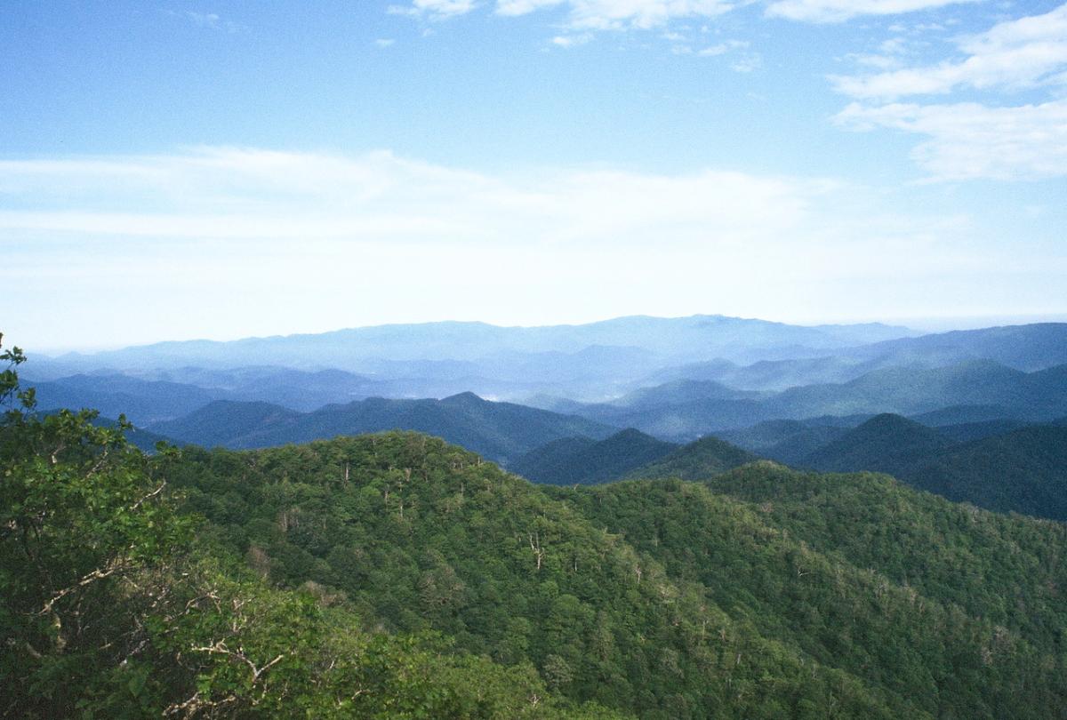 Photo credit: John Lynn