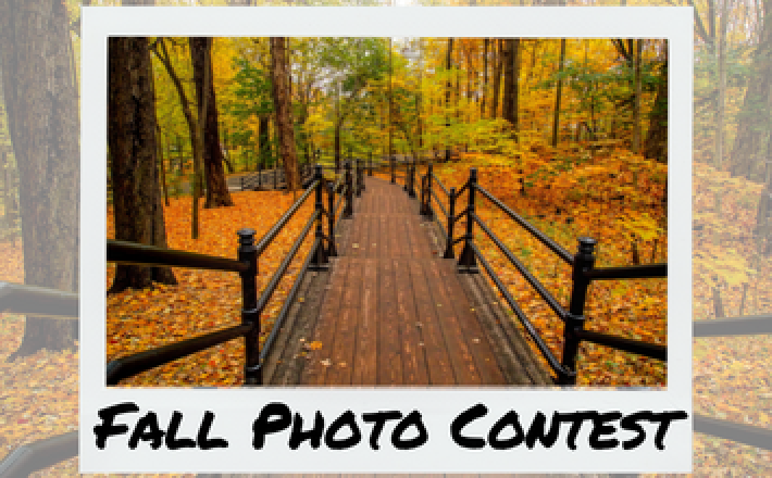 Autumn Colors Photo Contest