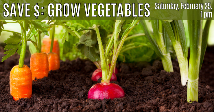 Save $: Grow a Vegetable Garden