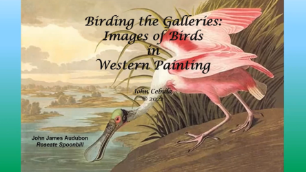 Birding the Galleries: Images of Birds in Western Culture